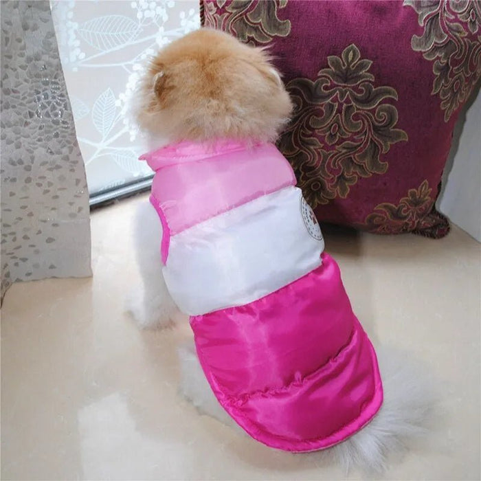Colete Impermeável e Quente para Cães de Raças Pequenas e Médias (Outono / Inverno) - PetDoctors - Loja Online