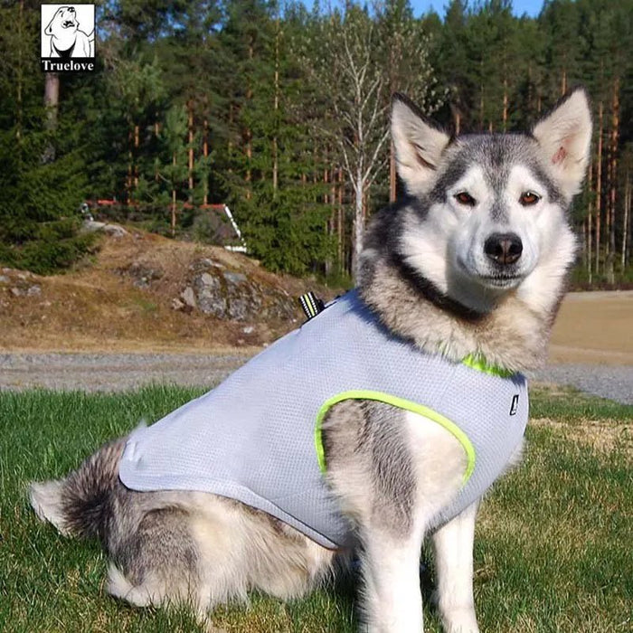 Colete / Peitoral Refrescante para Cães (especialmente indicado para Bulldog Francês) - PetDoctors - Loja Online
