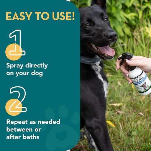 Colónia para cães em spray completamente natural / perfume em spray para cães | Aroma a Talco para bebés | Desodorizante, Desembaraçador e Condicionador de pelo em spray para cães, 250 ml - PetDoctors - Loja Online