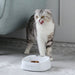 Comedouro com balança incorporada, acabamento anti - microbiano - PetDoctors - Loja Online
