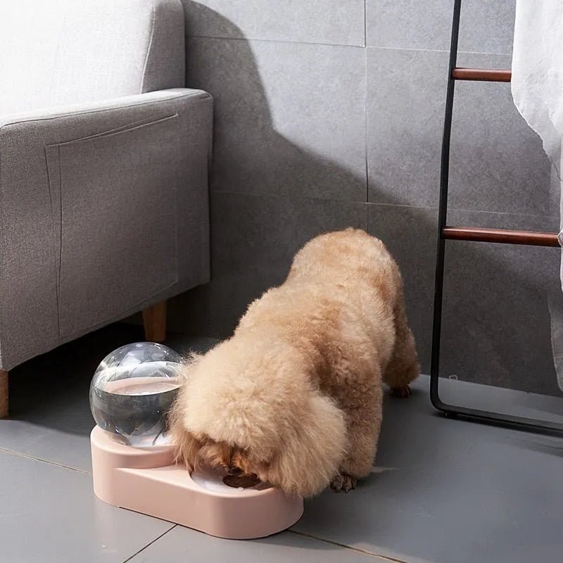 Comedouro e Bebedouro Automático para Cães e Gatos - PetDoctors - Loja Online