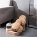 Comedouro e Bebedouro Automático para Cães e Gatos - PetDoctors - Loja Online