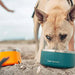 Comedouro para cães ou gatos, em aço inoxidável, base de silicone antiderrapante, lavável na máquina de lavar louça - PetDoctors - Loja Online