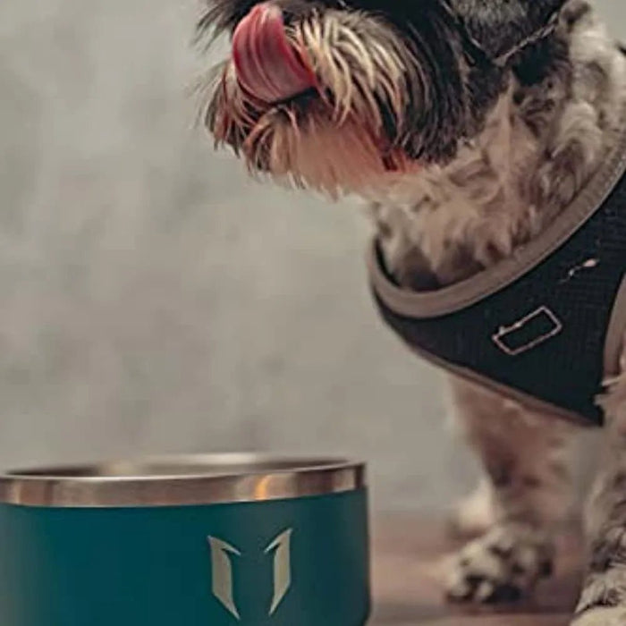 Comedouro para cães ou gatos, em aço inoxidável, base de silicone antiderrapante, lavável na máquina de lavar louça - PetDoctors - Loja Online