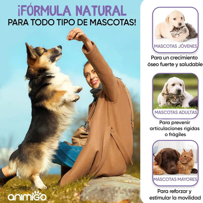 Complexo de glucosamina e condroitina para cães e gatos, alvo articulações e ossos fortes, 180 cápsulas, condroprotetor e anti - inflamatório, com vitamina C, açafrão, gengibre e rosa mosquito - PetDoctors - Loja Online