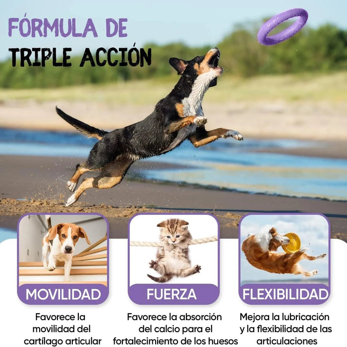 Complexo de glucosamina e condroitina para cães e gatos, alvo articulações e ossos fortes, 180 cápsulas, condroprotetor e anti - inflamatório, com vitamina C, açafrão, gengibre e rosa mosquito - PetDoctors - Loja Online