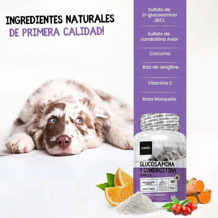 Complexo de glucosamina e condroitina para cães e gatos, alvo articulações e ossos fortes, 180 cápsulas, condroprotetor e anti - inflamatório, com vitamina C, açafrão, gengibre e rosa mosquito - PetDoctors - Loja Online