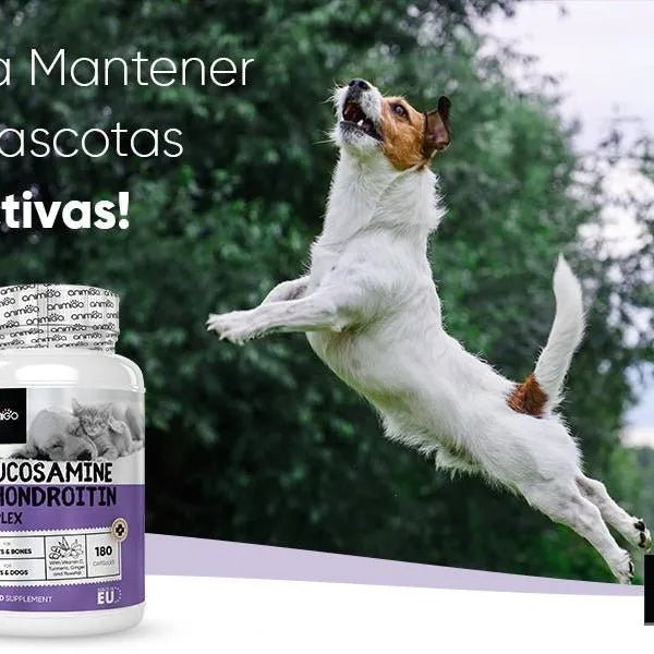Complexo de glucosamina e condroitina para cães e gatos, alvo articulações e ossos fortes, 180 cápsulas, condroprotetor e anti - inflamatório, com vitamina C, açafrão, gengibre e rosa mosquito - PetDoctors - Loja Online