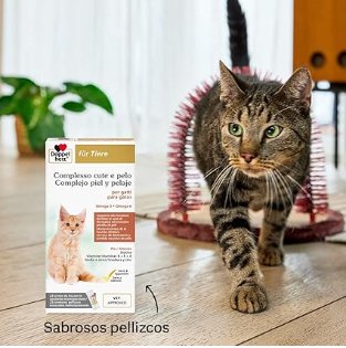 Complexo para pele e pêlo de gatos, manutenção da função térmica em caso de dermatose e perda de pêlo excessiva, ômega - 3 e 6, biotina, vitaminas B E+ A, (25 biscoitos cremosos) - PetDoctors - Loja Online