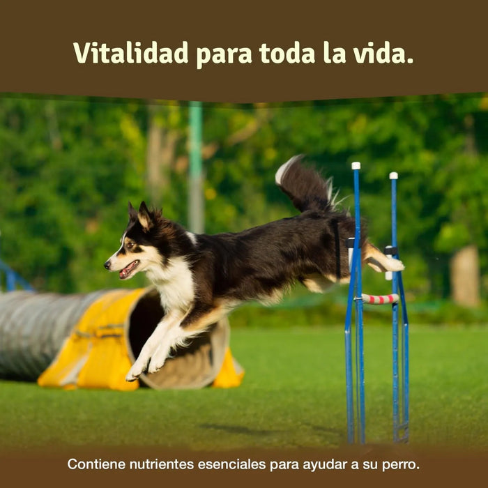 Comprimido condroprotetor para as articulações de cães com MSM, harpagófito, glucosamina, colagénio para fortalecer os ossos (125 cápsulas com hialurão e ômega3) - PetDoctors - Loja Online