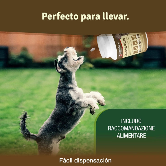 Comprimido condroprotetor para as articulações de cães com MSM, harpagófito, glucosamina, colagénio para fortalecer os ossos (125 cápsulas com hialurão e ômega3) - PetDoctors - Loja Online