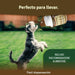 Comprimido condroprotetor para as articulações de cães com MSM, harpagófito, glucosamina, colagénio para fortalecer os ossos (125 cápsulas com hialurão e ômega3) - PetDoctors - Loja Online