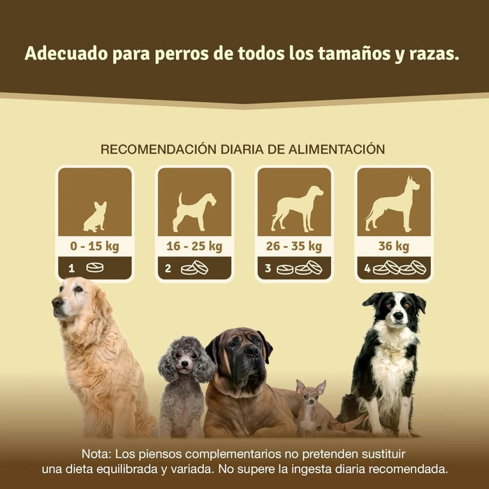 Comprimido condroprotetor para as articulações de cães com MSM, harpagófito, glucosamina, colagénio para fortalecer os ossos (125 cápsulas com hialurão e ômega3) - PetDoctors - Loja Online
