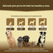 Comprimido condroprotetor para as articulações de cães com MSM, harpagófito, glucosamina, colagénio para fortalecer os ossos (125 cápsulas com hialurão e ômega3) - PetDoctors - Loja Online