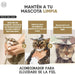 Condicionador para cães e gatos (500 ml) - Hidratante e Desembaraçante para peles sensíveis, suave para todos os tipos de pêlo e raças, hipoalergénico com óleo de côco e lavanda - PetDoctors - Loja Online