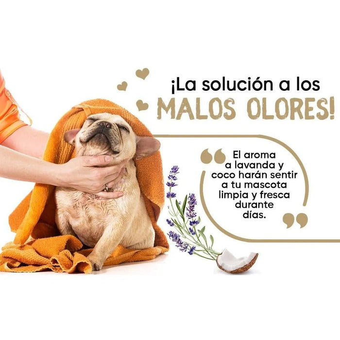 Condicionador para cães e gatos (500 ml) - Hidratante e Desembaraçante para peles sensíveis, suave para todos os tipos de pêlo e raças, hipoalergénico com óleo de côco e lavanda - PetDoctors - Loja Online