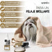 Condicionador para cães e gatos (500 ml) - Hidratante e Desembaraçante para peles sensíveis, suave para todos os tipos de pêlo e raças, hipoalergénico com óleo de côco e lavanda - PetDoctors - Loja Online