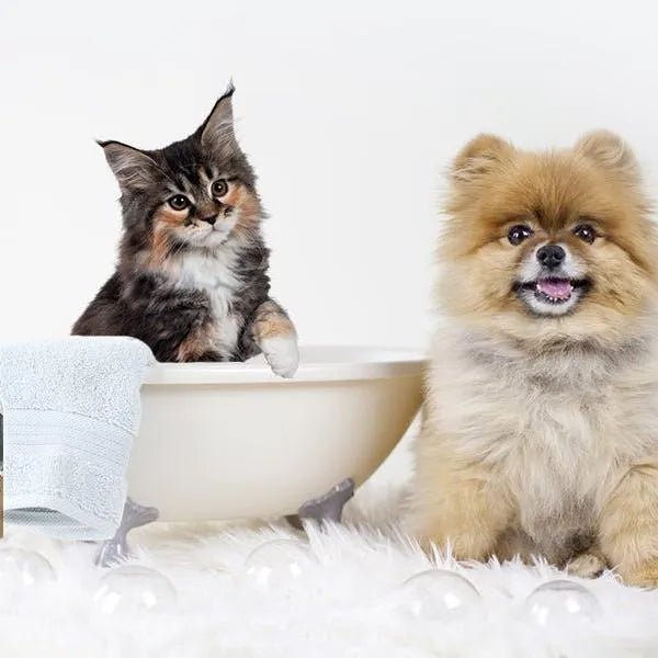 Condicionador para cães e gatos (500 ml) - Hidratante e Desembaraçante para peles sensíveis, suave para todos os tipos de pêlo e raças, hipoalergénico com óleo de côco e lavanda - PetDoctors - Loja Online