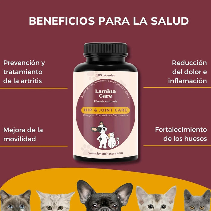Condoprotetor para cães com glucosamina, Condritiona, colageno e mexilhão lábios verdes - 180 cápsulas, anti - inflamatório 100% natural - Fortalece articulações e anca - PetDoctors - Loja Online