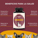 Condoprotetor para cães com glucosamina, Condritiona, colageno e mexilhão lábios verdes - 180 cápsulas, anti - inflamatório 100% natural - Fortalece articulações e anca - PetDoctors - Loja Online