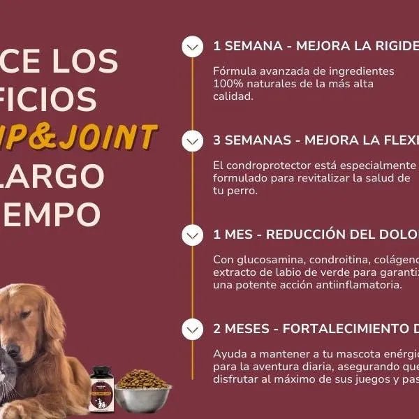 Condoprotetor para cães com glucosamina, Condritiona, colageno e mexilhão lábios verdes - 180 cápsulas, anti - inflamatório 100% natural - Fortalece articulações e anca - PetDoctors - Loja Online