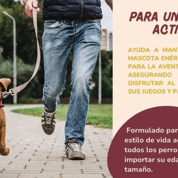 Condoprotetor para cães com glucosamina, Condritiona, colageno e mexilhão lábios verdes - 180 cápsulas, anti - inflamatório 100% natural - Fortalece articulações e anca - PetDoctors - Loja Online