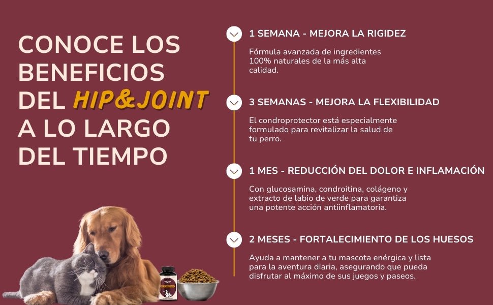 Condoprotetor para cães com glucosamina, Condritiona, colageno e mexilhão lábios verdes - 180 cápsulas, anti-inflamatório 100% natural - Fortalece articulações e anca - PetDoctors - Loja Online