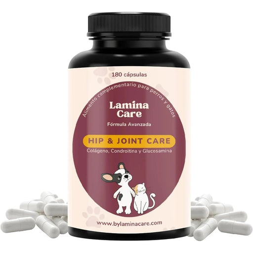 Condoprotetor para cães com glucosamina, Condritiona, colageno e mexilhão lábios verdes - 180 cápsulas, anti - inflamatório 100% natural - Fortalece articulações e anca - PetDoctors - Loja Online