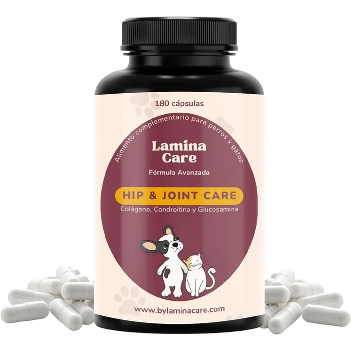 Condoprotetor para cães com glucosamina, Condritiona, colageno e mexilhão lábios verdes - 180 cápsulas, anti - inflamatório 100% natural - Fortalece articulações e anca - PetDoctors - Loja Online