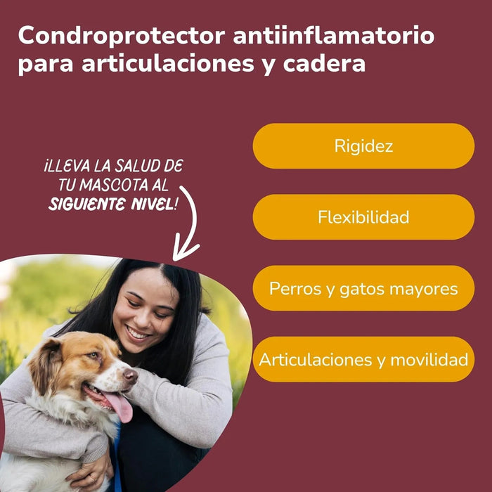 Condoprotetor para cães com glucosamina, Condritiona, colageno e mexilhão lábios verdes - 180 cápsulas, anti - inflamatório 100% natural - Fortalece articulações e anca - PetDoctors - Loja Online