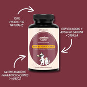 Condoprotetor para cães com glucosamina, Condritiona, colageno e mexilhão lábios verdes - 180 cápsulas, anti - inflamatório 100% natural - Fortalece articulações e anca - PetDoctors - Loja Online