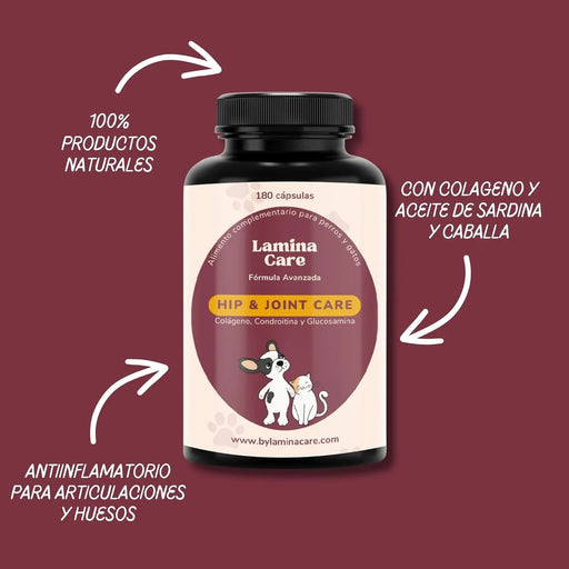 Condoprotetor para cães com glucosamina, Condritiona, colageno e mexilhão lábios verdes - 180 cápsulas, anti - inflamatório 100% natural - Fortalece articulações e anca - PetDoctors - Loja Online