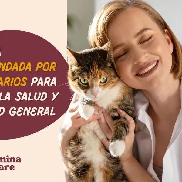 Condoprotetor para cães com glucosamina, Condritiona, colageno e mexilhão lábios verdes - 180 cápsulas, anti - inflamatório 100% natural - Fortalece articulações e anca - PetDoctors - Loja Online