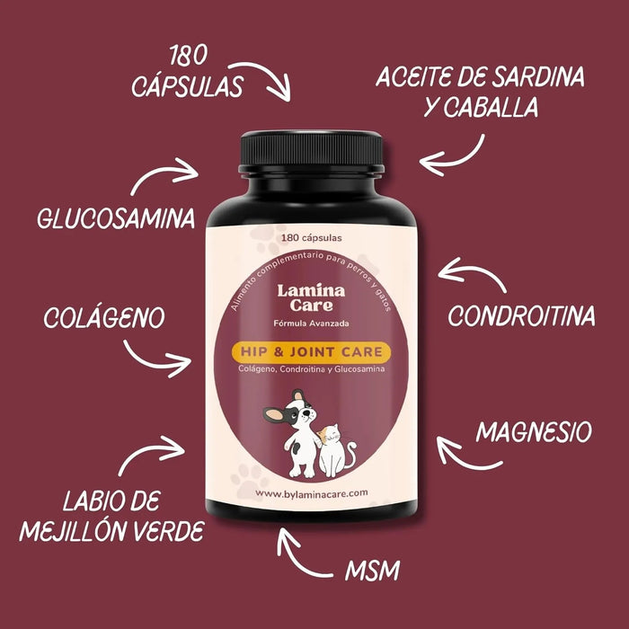 Condoprotetor para cães com glucosamina, Condritiona, colageno e mexilhão lábios verdes - 180 cápsulas, anti - inflamatório 100% natural - Fortalece articulações e anca - PetDoctors - Loja Online