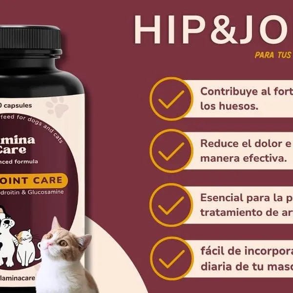Condoprotetor para cães com glucosamina, Condritiona, colageno e mexilhão lábios verdes - 180 cápsulas, anti - inflamatório 100% natural - Fortalece articulações e anca - PetDoctors - Loja Online
