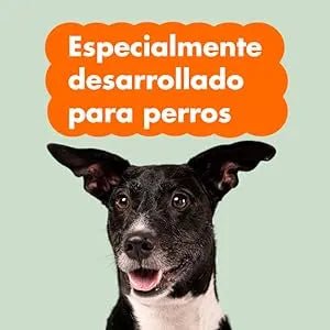 Condroprotetor comprimidos para cães grandes e pequenos com glucosamina e MSM, fortalece os ossos e as articulações, 200 cápsulas com sabor a frango - Belly® - PetDoctors - Loja Online