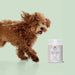 Condroprotetor comprimidos para cães grandes e pequenos com glucosamina e MSM, fortalece os ossos e as articulações, 200 cápsulas com sabor a frango - Belly® - PetDoctors - Loja Online