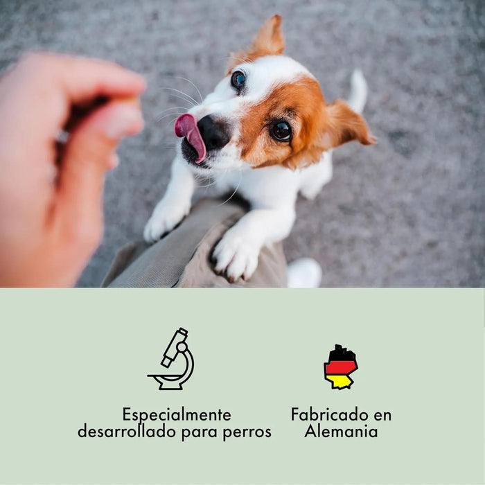 Condroprotetor comprimidos para cães grandes e pequenos com glucosamina e MSM, fortalece os ossos e as articulações, 200 cápsulas com sabor a frango - Belly® - PetDoctors - Loja Online