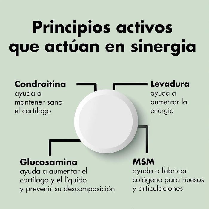 Condroprotetor comprimidos para cães grandes e pequenos com glucosamina e MSM, fortalece os ossos e as articulações, 200 cápsulas com sabor a frango - Belly® - PetDoctors - Loja Online