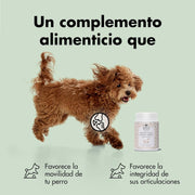 Condroprotetor comprimidos para cães grandes e pequenos com glucosamina e MSM, fortalece os ossos e as articulações, 200 cápsulas com sabor a frango - Belly® - PetDoctors - Loja Online