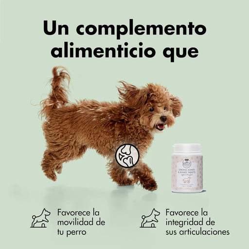 Condroprotetor comprimidos para cães grandes e pequenos com glucosamina e MSM, fortalece os ossos e as articulações, 200 cápsulas com sabor a frango - Belly® - PetDoctors - Loja Online
