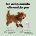 Condroprotetor comprimidos para cães grandes e pequenos com glucosamina e MSM, fortalece os ossos e as articulações, 200 cápsulas com sabor a frango - Belly® - PetDoctors - Loja Online