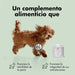 Condroprotetor de glucosamina e MSM, fortalece os ossos e as articulações, 100 unidades com sabor a frango - 1 unidade diária (Belly®) - PetDoctors - Loja Online