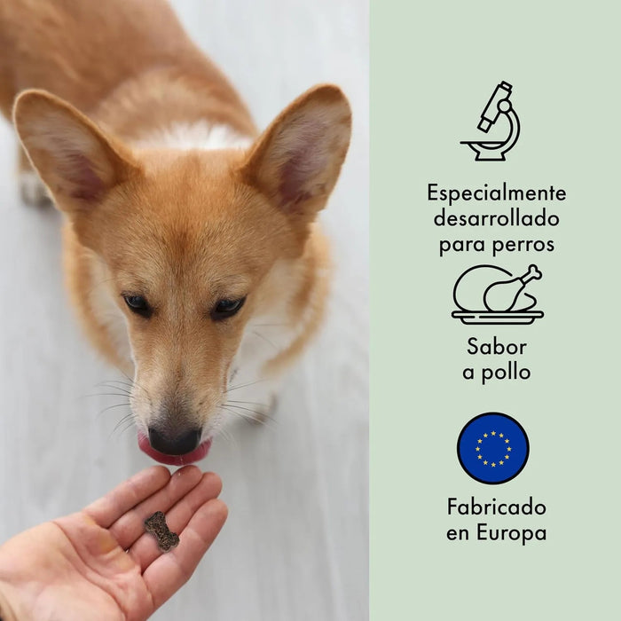 Condroprotetor de glucosamina e MSM, fortalece os ossos e as articulações, 100 unidades com sabor a frango - 1 unidade diária (Belly®) - PetDoctors - Loja Online