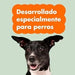 Condroprotetor de glucosamina e MSM, fortalece os ossos e as articulações, 100 unidades com sabor a frango - 1 unidade diária (Belly®) - PetDoctors - Loja Online