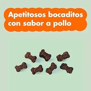 Condroprotetor de glucosamina e MSM, fortalece os ossos e as articulações, 100 unidades com sabor a frango - 1 unidade diária (Belly®) - PetDoctors - Loja Online