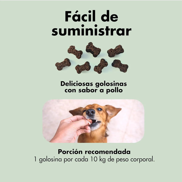 Condroprotetor de glucosamina e MSM, fortalece os ossos e as articulações, 100 unidades com sabor a frango - 1 unidade diária (Belly®) - PetDoctors - Loja Online