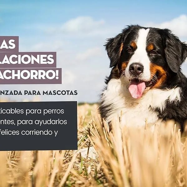 Condroprotetor e anti - inflamatório para cães e gatos, 120 comprimidos mastigáveis, com glucosamina condroitina, MSM, ácido hialurónico, canela e açafrão, para raças grandes e pequenas, articulações e anca - PetDoctors - Loja Online
