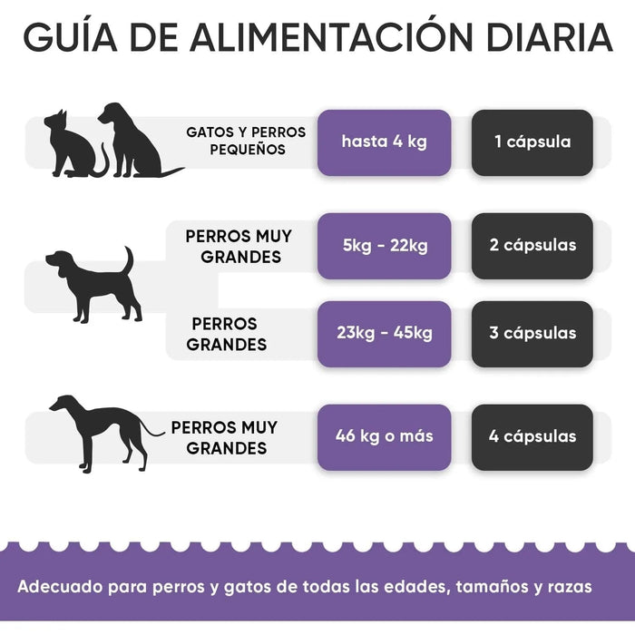 Condroprotetor e anti - inflamatório para cães e gatos, 120 comprimidos mastigáveis, com glucosamina condroitina, MSM, ácido hialurónico, canela e açafrão, para raças grandes e pequenas, articulações e anca - PetDoctors - Loja Online