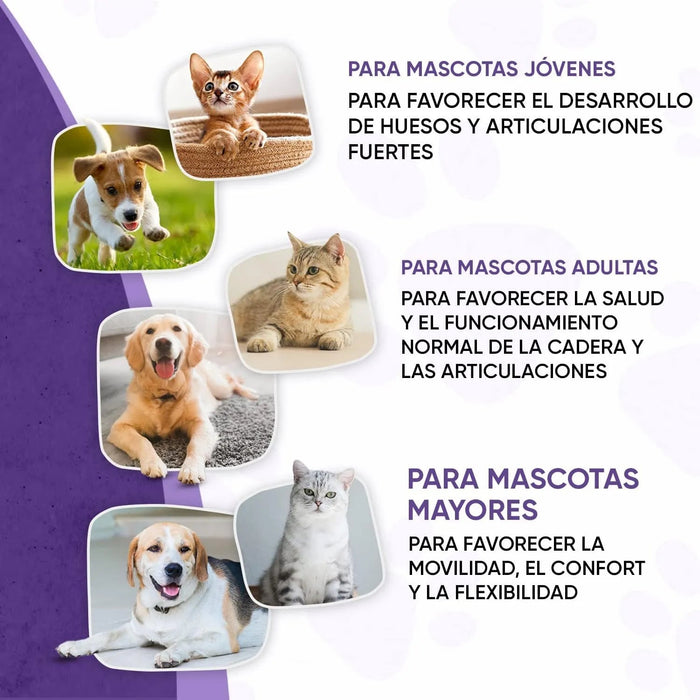 Condroprotetor e anti - inflamatório para cães e gatos, 120 comprimidos mastigáveis, com glucosamina condroitina, MSM, ácido hialurónico, canela e açafrão, para raças grandes e pequenas, articulações e anca - PetDoctors - Loja Online